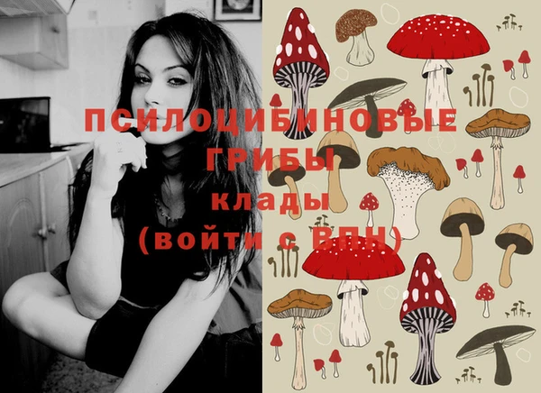 герыч Вязьма