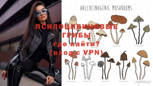 герыч Вяземский